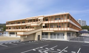 DJI_0667