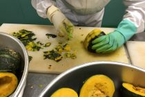 IMG_3371 IMG_3371