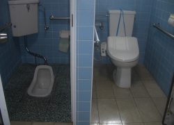 排泄 排泄