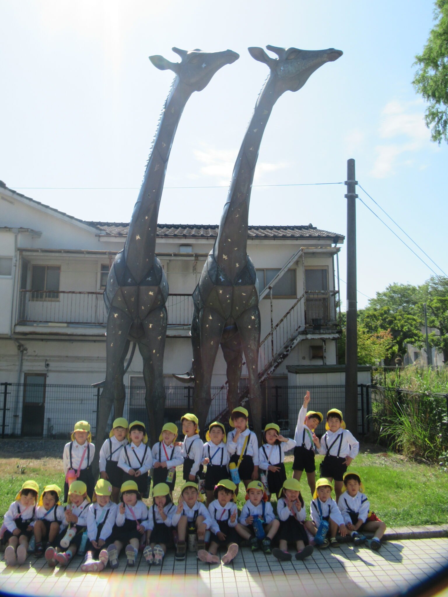 IMG_1256 IMG_1256